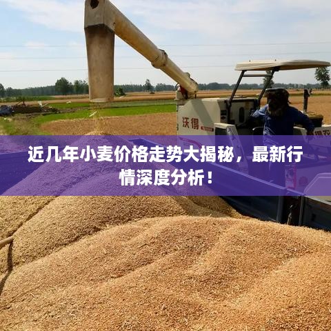 近幾年小麥價(jià)格走勢(shì)大揭秘，最新行情深度分析！