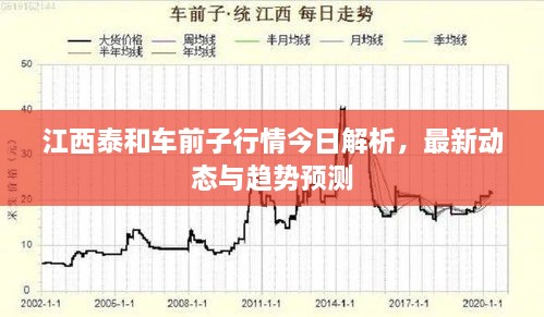 江西泰和車前子行情今日解析，最新動(dòng)態(tài)與趨勢(shì)預(yù)測(cè)