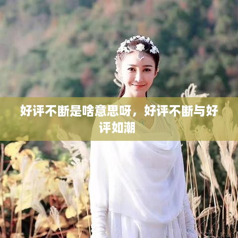 好評不斷是啥意思呀，好評不斷與好評如潮 