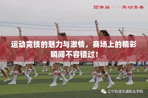 運動競技的魅力與激情，賽場上的精彩瞬間不容錯過！