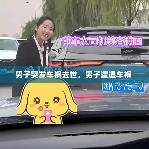 男子突發(fā)車禍去世，男子遭遇車禍 
