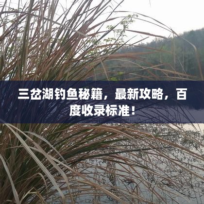 三岔湖釣魚秘籍，最新攻略，百度收錄標(biāo)準(zhǔn)！