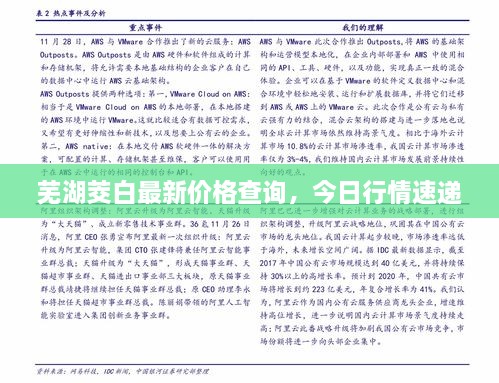 蕪湖茭白最新價格查詢，今日行情速遞