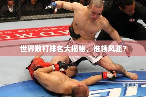 世界散打排名大揭秘，誰領(lǐng)風(fēng)騷？