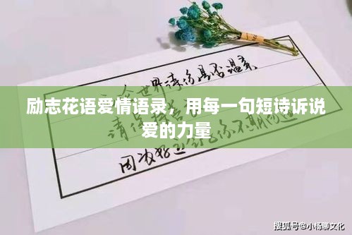 勵志花語愛情語錄，用每一句短詩訴說愛的力量