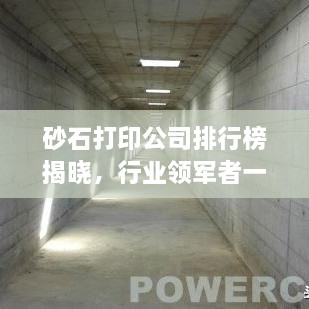 砂石打印公司排行榜揭曉，行業(yè)領(lǐng)軍者一覽
