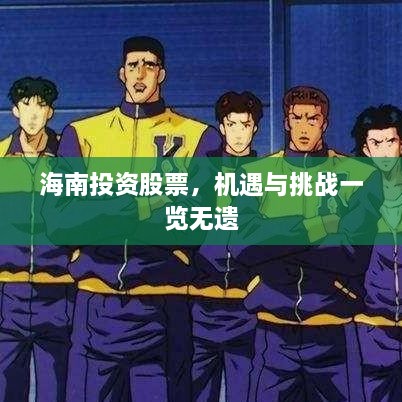 海南投資股票，機(jī)遇與挑戰(zhàn)一覽無遺