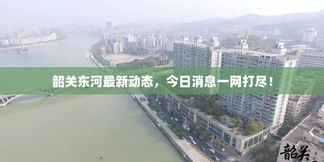 韶關(guān)東河最新動態(tài)，今日消息一網(wǎng)打盡！