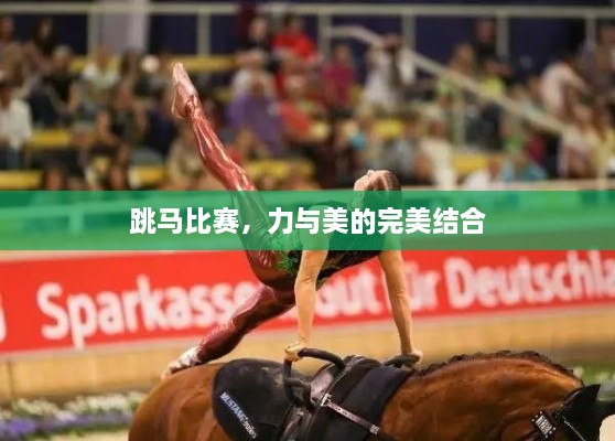 跳馬比賽，力與美的完美結(jié)合