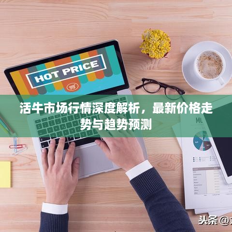 活牛市場(chǎng)行情深度解析，最新價(jià)格走勢(shì)與趨勢(shì)預(yù)測(cè)