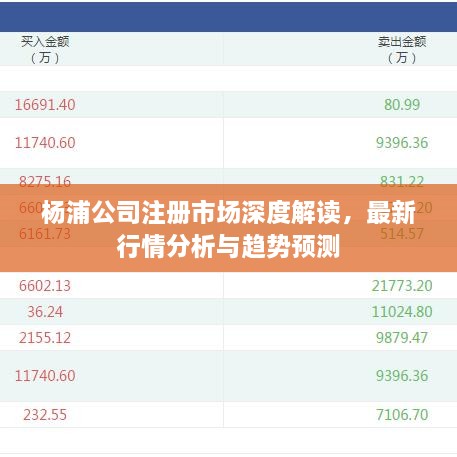 楊浦公司注冊市場深度解讀，最新行情分析與趨勢預(yù)測