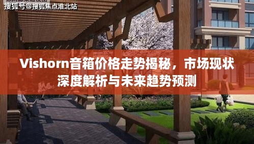 Vishorn音箱價(jià)格走勢(shì)揭秘，市場(chǎng)現(xiàn)狀深度解析與未來(lái)趨勢(shì)預(yù)測(cè)
