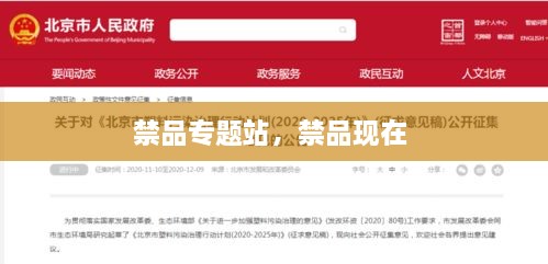 禁品專題站，禁品現(xiàn)在 