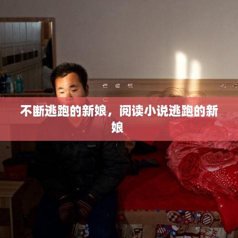 不斷逃跑的新娘，閱讀小說逃跑的新娘 