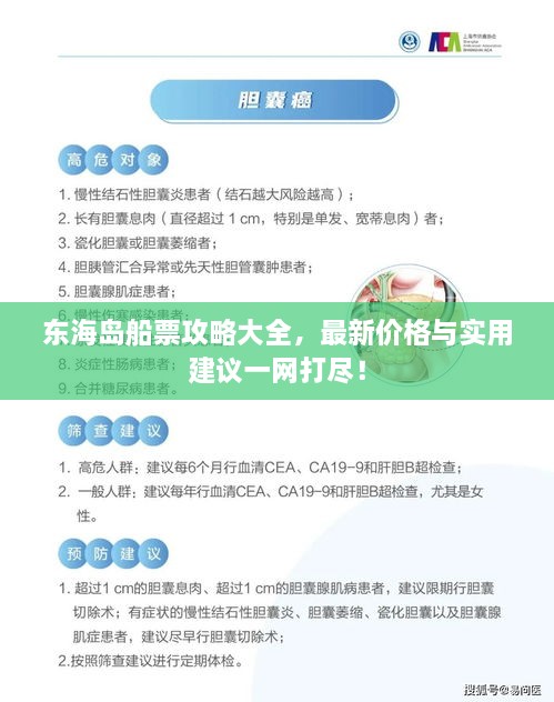 東海島船票攻略大全，最新價(jià)格與實(shí)用建議一網(wǎng)打盡！