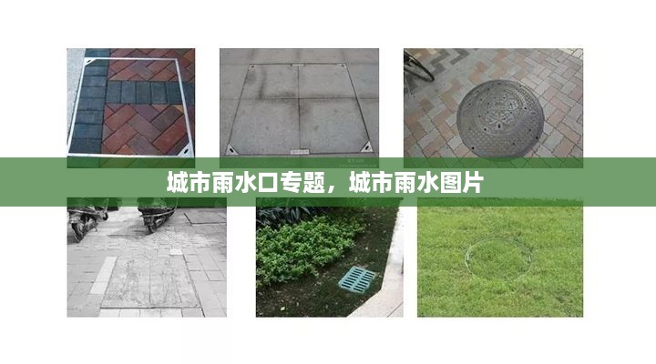 城市雨水口專題，城市雨水圖片 