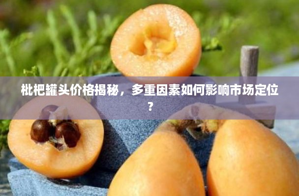 枇杷罐頭價格揭秘，多重因素如何影響市場定位？
