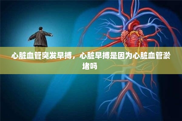 心臟血管突發(fā)早搏，心臟早搏是因?yàn)樾呐K血管淤堵嗎 