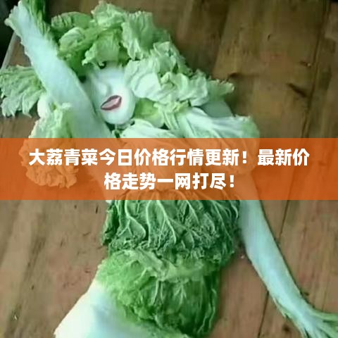 大荔青菜今日價格行情更新！最新價格走勢一網(wǎng)打盡！