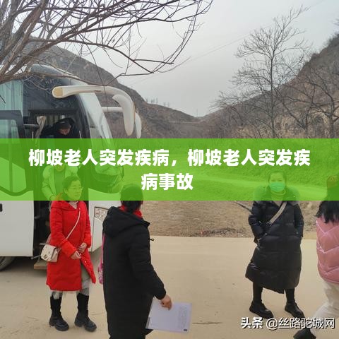 柳坡老人突發(fā)疾病，柳坡老人突發(fā)疾病事故 