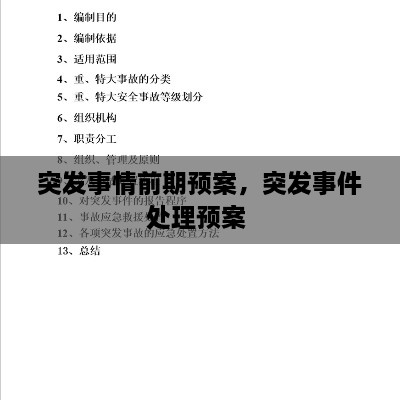突發(fā)事情前期預(yù)案，突發(fā)事件處理預(yù)案 