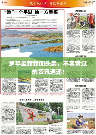 羅平最新新聞頭條，不容錯過的資訊速遞！