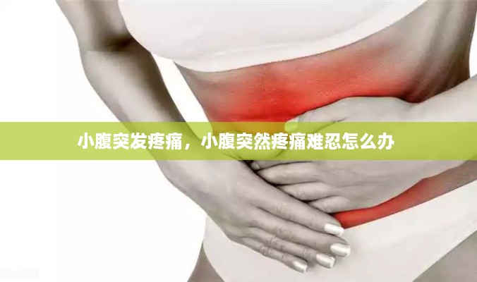 七貴三公
