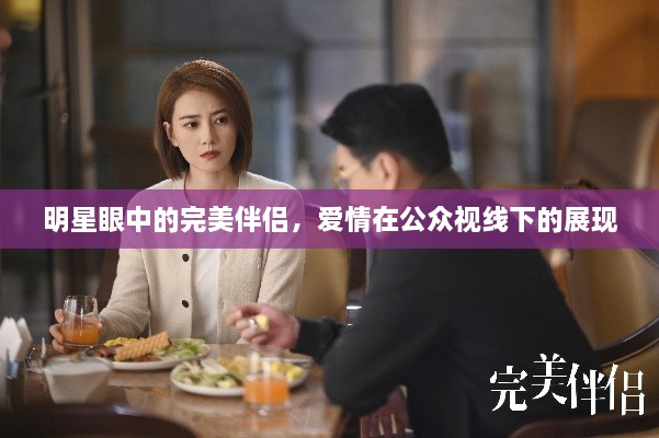 明星眼中的完美伴侶，愛情在公眾視線下的展現(xiàn)