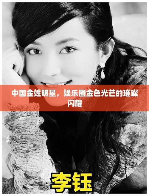 中國金姓明星，娛樂圈金色光芒的璀璨閃耀