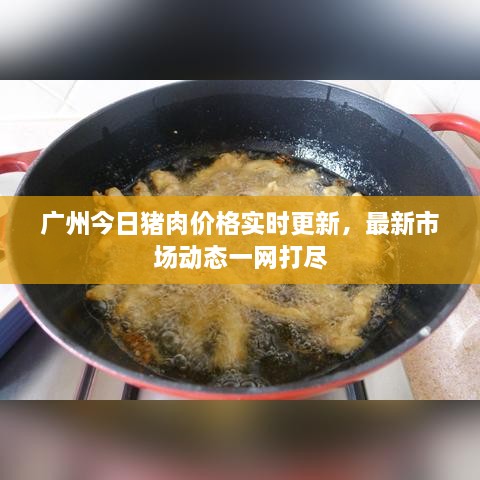 廣州今日豬肉價格實時更新，最新市場動態(tài)一網(wǎng)打盡