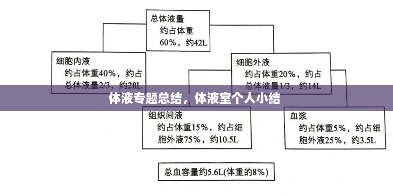 體液專題總結(jié)，體液室個人小結(jié) 
