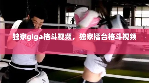 獨(dú)家giga格斗視頻，獨(dú)家擂臺(tái)格斗視頻 