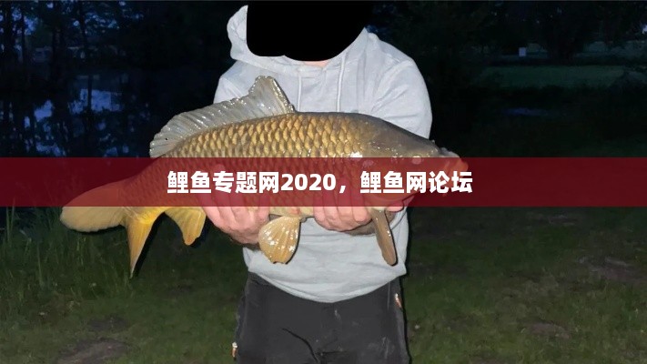 鯉魚專題網(wǎng)2020，鯉魚網(wǎng)論壇 