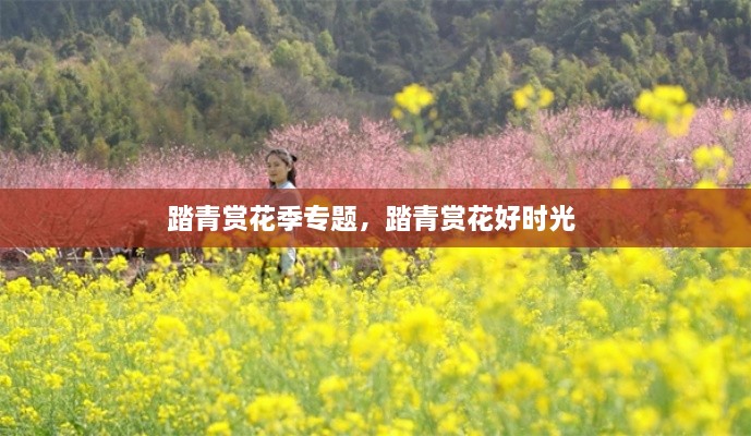 踏青賞花季專(zhuān)題，踏青賞花好時(shí)光 
