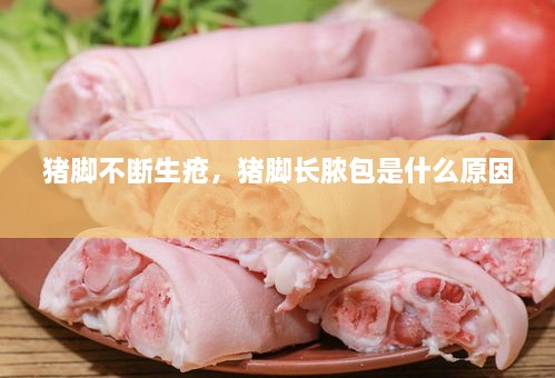 豬腳不斷生瘡，豬腳長膿包是什么原因 