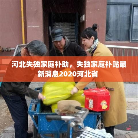 河北失獨(dú)家庭補(bǔ)助，失獨(dú)家庭補(bǔ)貼最新消息2020河北省 