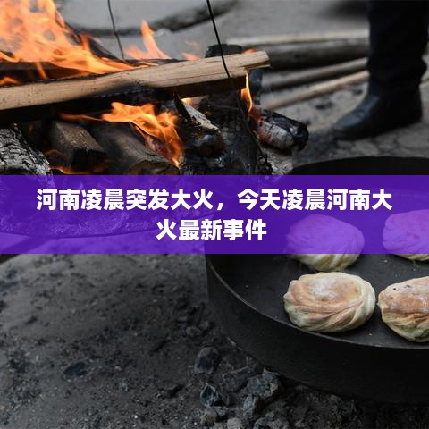 河南凌晨突發(fā)大火，今天凌晨河南大火最新事件 