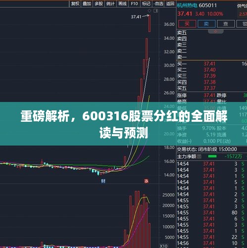 重磅解析，600316股票分紅的全面解讀與預(yù)測