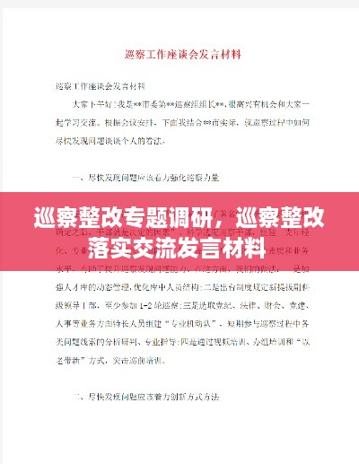 巡察整改專題調(diào)研，巡察整改落實交流發(fā)言材料 
