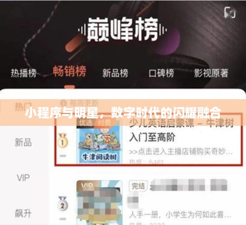 小程序與明星，數字時代的閃耀融合