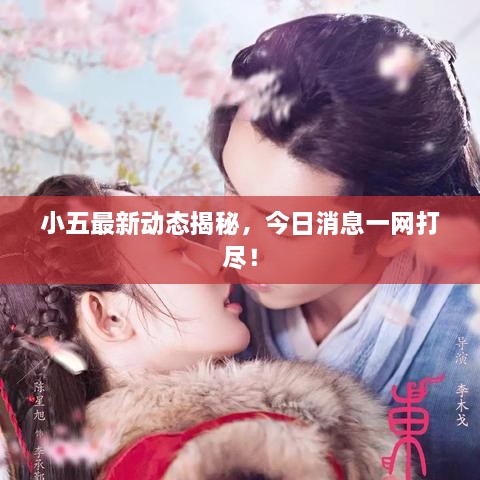 小五最新動(dòng)態(tài)揭秘，今日消息一網(wǎng)打盡！