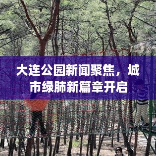 大連公園新聞聚焦，城市綠肺新篇章開啟
