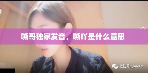 嘶哥獨家發(fā)音，嘶吖是什么意思 