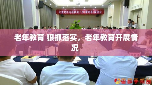 老年教育 狠抓落實(shí)，老年教育開展情況 
