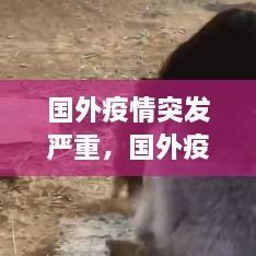 國外疫情突發(fā)嚴(yán)重，國外疫情形勢嚴(yán)峻 