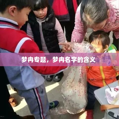 新聞動態(tài) 第5頁