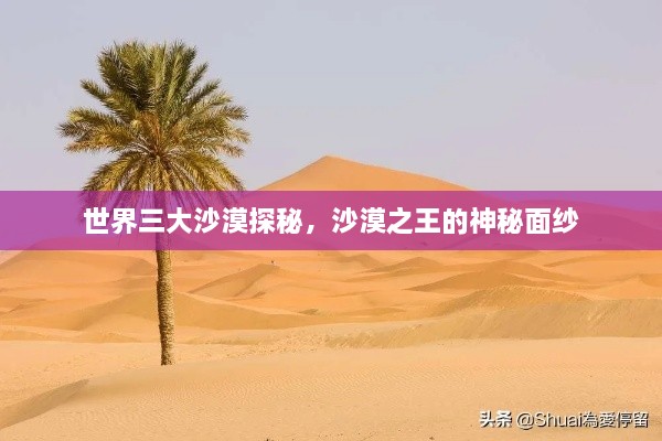 世界三大沙漠探秘，沙漠之王的神秘面紗