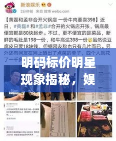 明碼標(biāo)價(jià)明星現(xiàn)象揭秘，娛樂(lè)圈的新挑戰(zhàn)與觀(guān)察
