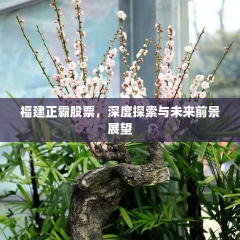 矢志不渝