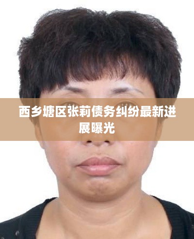西鄉(xiāng)塘區(qū)張莉債務(wù)糾紛最新進展曝光